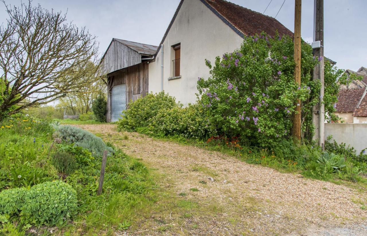 Châteauvieux Le Beverly A 9 Min De Beauval מראה חיצוני תמונה